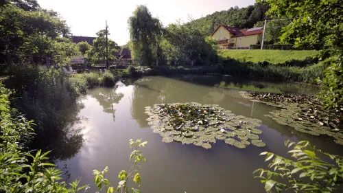 24. galéria kép Fónagy Apartmanok és Grill Műhely